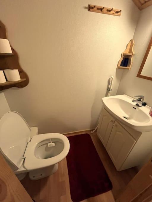 Lapland Cabin Levi 基蒂莱 外观 照片
